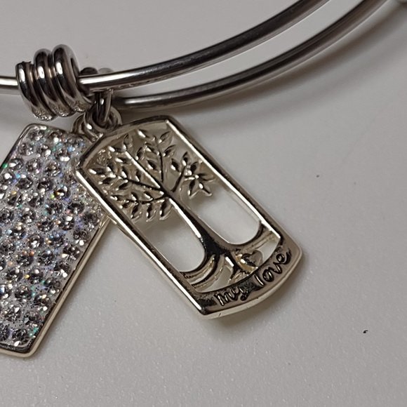 Love This Life Silver Tone Charm Bracelet - Picture 2 of 10